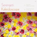 Buy Serengeti - Kaleidoscope (EP) Mp3 Download