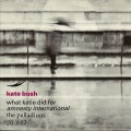 Buy Kate Bush - What Katie Did For Amnesty International The Palladium (VLS) Mp3 Download