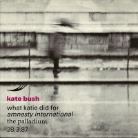Purchase Kate Bush - What Katie Did For Amnesty International The Palladium (VLS)