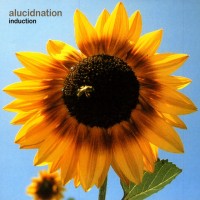 Purchase Alucidnation - Induction