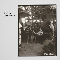 Purchase X Ray Cat Trio - Haunted