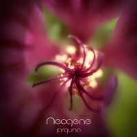 Purchase Jarguna - Neogene