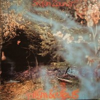 Purchase Stefan Zauner - Prism & Views (Vinyl)