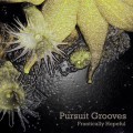 Buy Pursuit Grooves - Frantically Hopeful Mp3 Download