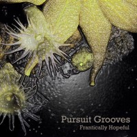 Purchase Pursuit Grooves - Frantically Hopeful