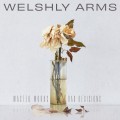 Buy Welshly Arms - Wasted Words & Bad Decisions Mp3 Download