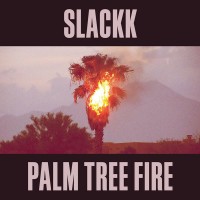 Purchase Slackk - Palm Tree Fire