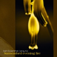 Purchase Sam Rosenthal - Sunwashed Evening Fire (With Jarguna)