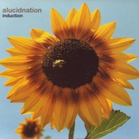 Purchase Alucidnation - Pollination