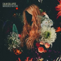 Purchase Calm Collapse - Mirrored Nature