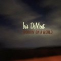 Buy Iris DeMent - Workin' On A World Mp3 Download