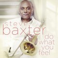 Buy Steve Baxter - Do What You Feel Mp3 Download