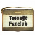 Buy Teenage Fanclub - Radio (EP) Mp3 Download