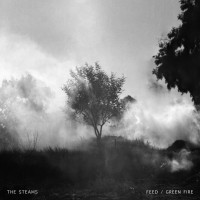 Purchase The Steams - Feed / Green Fire (EP)