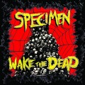 Buy Specimen - Wake The Dead Mp3 Download