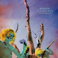 Purchase Grave Pleasures - Plagueboys