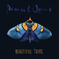 Purchase Peach & Quiet - Beautiful Thing