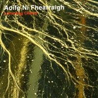 Purchase Aoife Ni Fhearraigh - Loinneog Cheoil