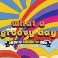 Buy VA - What A Groovy Day: The British Sunshine Pop Sound 1967-1972 CD1 Mp3 Download