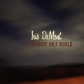 Buy Iris DeMent - Workin' On A World (CDS) Mp3 Download