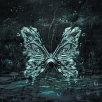 Purchase X/O - Chaos Butterfly