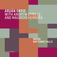 Purchase Aruan Ortiz - Inside Rhythmic Falls