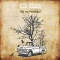 Buy Red Beard - All Or Nothin' Mp3 Download