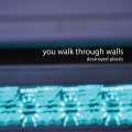 Buy You Walk Through Walls - Destroyed Places (EP) Mp3 Download