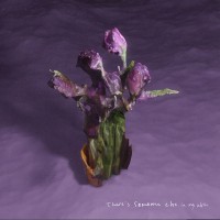 Purchase Lilac - There's Someone Else In My Skin