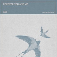 Purchase The Teskey Brothers - Forever You And Me (CDS)