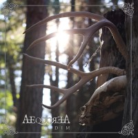 Purchase Aequorea - Dim