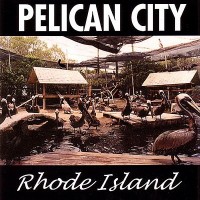 Purchase Pelican City - Rhode Island