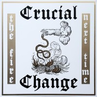 Purchase Crucial Change - The Fire Next Time