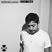 Purchase Harvard Bass - Stay True