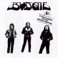 Purchase Budgie - If Swallowed, Do Not Induce Vomiting (EP) (Vinyl)