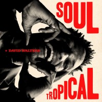 Purchase david walters - Soul Tropical