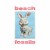 Buy Beach Fossils - Bunny Mp3 Download