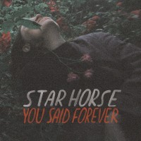 Purchase Star Horse - You Said Forever