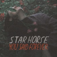 Purchase Star Horse - You Said Forever (Deluxe Version)