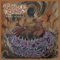 Buy Bastard Grave - Vortex Of Disgust Mp3 Download