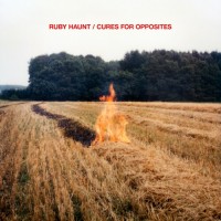 Purchase Ruby Haunt - Cures For Opposites