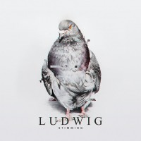 Purchase Stimming - Ludwig