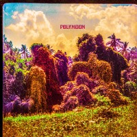 Purchase Polymoon - Chrysalis