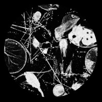 Purchase Morphology - Plankton (EP)