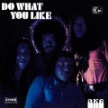 Buy AKA - Do What You Like (Vinyl) Mp3 Download