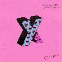 Purchase Caity Baser - X&Y (Digital Farm Animals Remix) (CDS)
