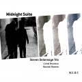 Buy Steven Delannoye Trio - Midnight Suite Mp3 Download