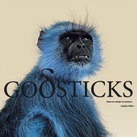 Purchase Godsticks - This Is What A Winner Looks Like
