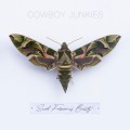 Buy Cowboy Junkies - Such Ferocious Beauty Mp3 Download