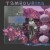 Buy Tambourina - Tambourine Dream Mp3 Download